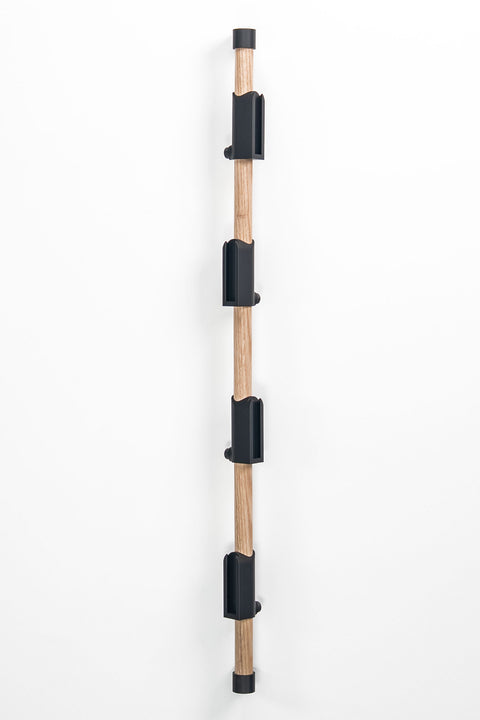 (Preorder) The Vertical Rail