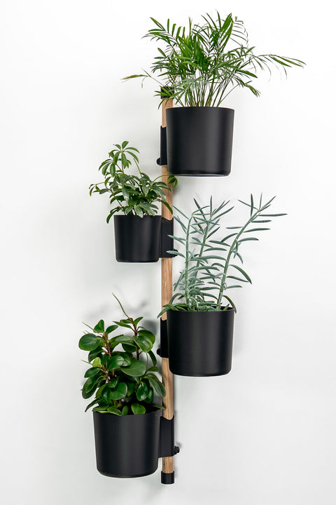 (Preorder) The Vertical Rail