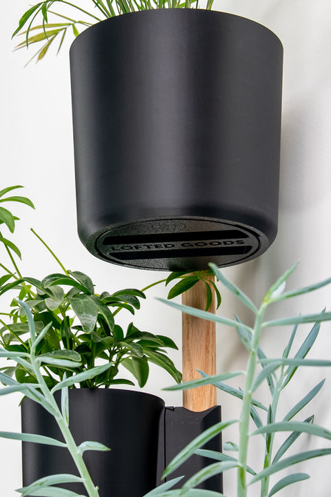 (Preorder) The Vertical Rail