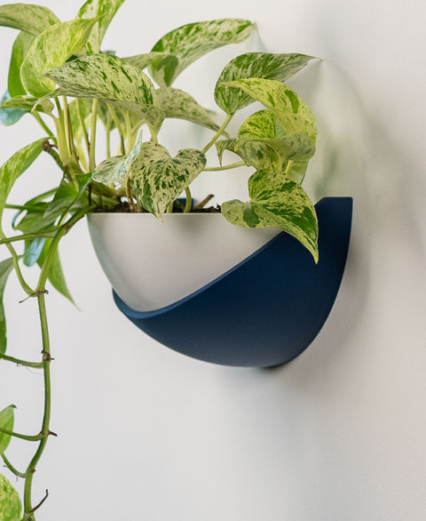 Half Dome Planter
