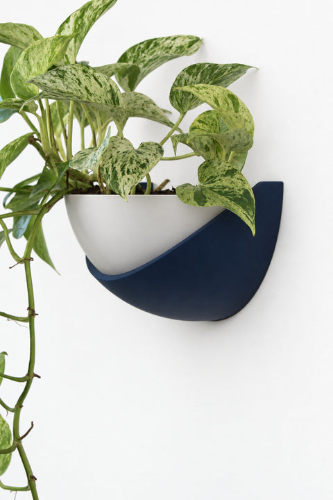 Half Dome Planter