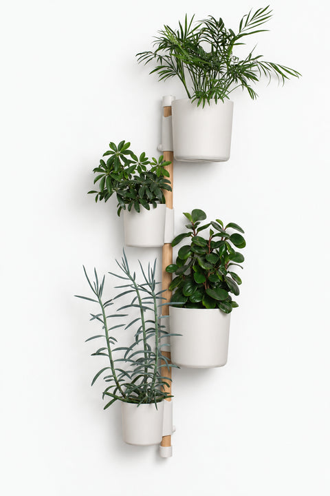 The Vertical Rail