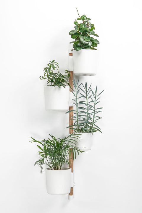 (Preorder) The Vertical Rail