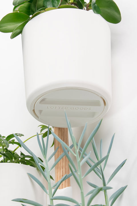 (Preorder) The Vertical Rail