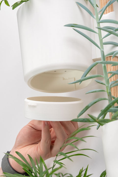(Preorder) The Vertical Rail