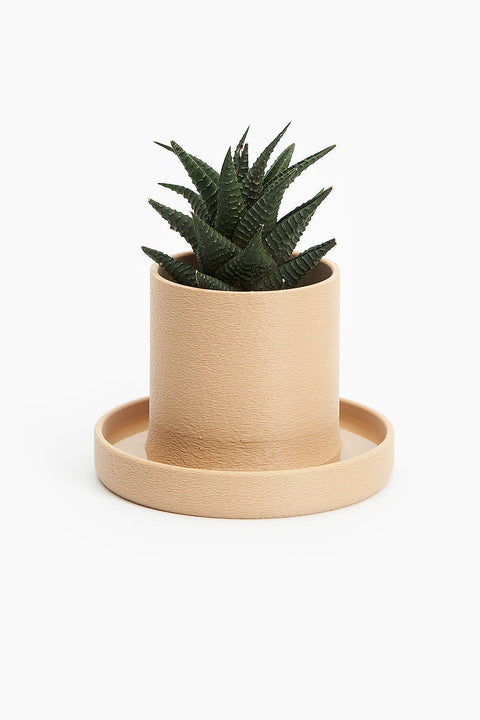Charles Planter